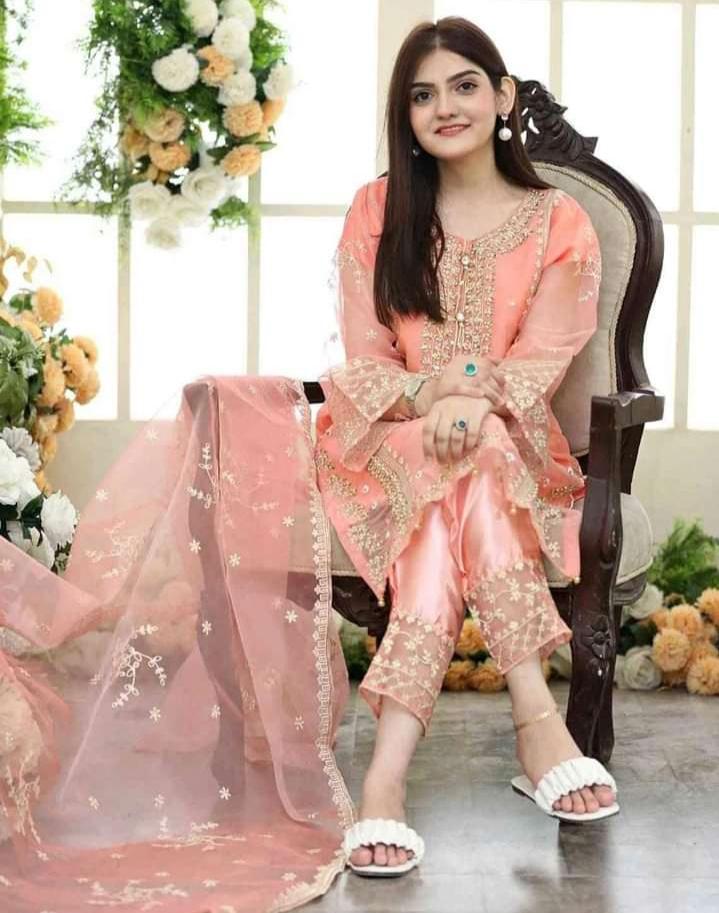 3 Piece Women's Stitched Organza Embordered Suit