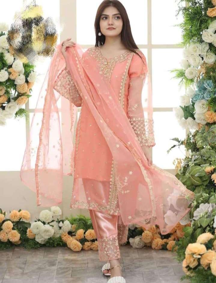 3 Piece Women's Stitched Organza Embordered Suit